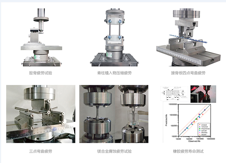 脛骨三點(diǎn)彎曲疲勞試驗機(jī)